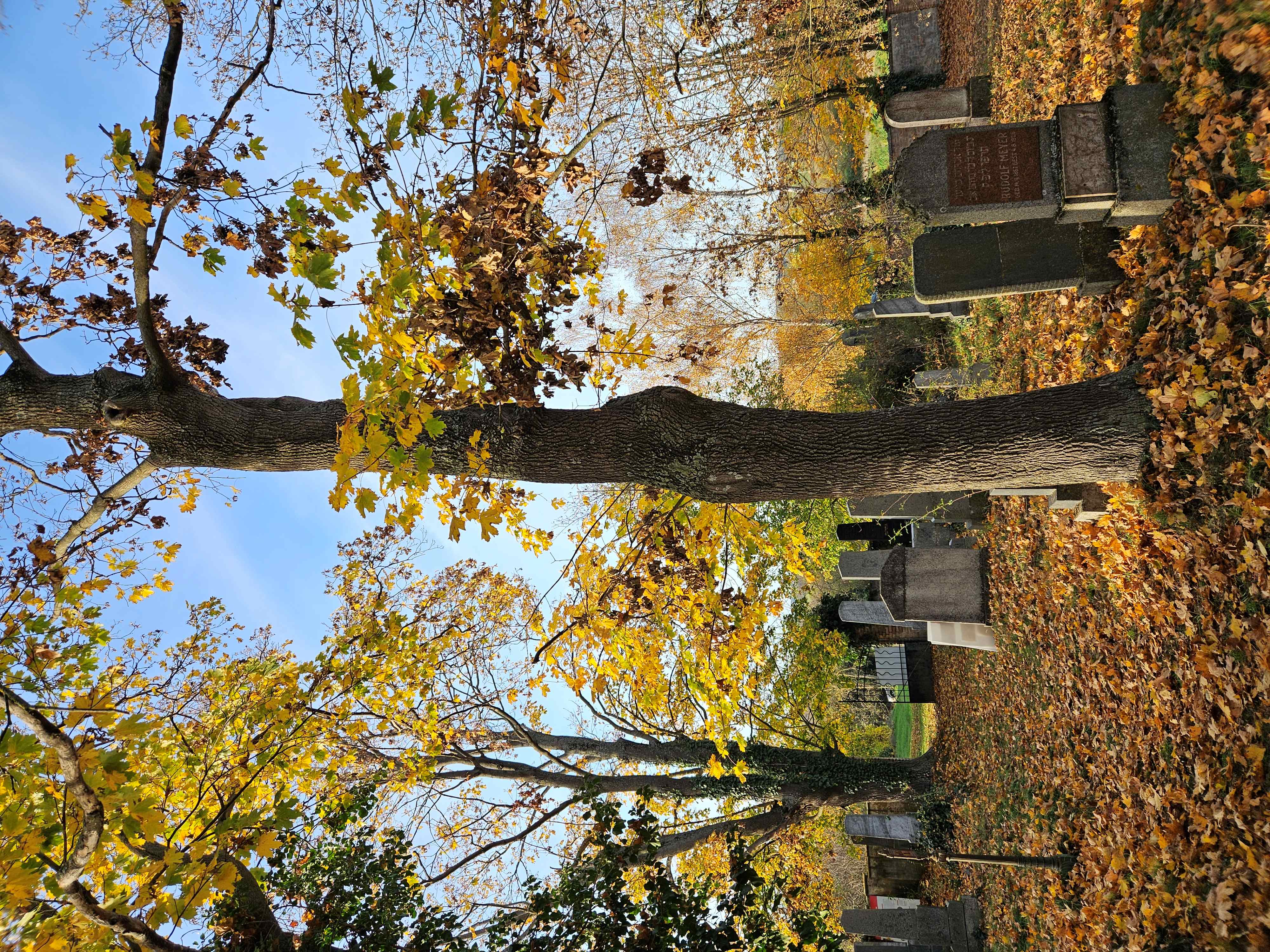 Bilder von Führungen